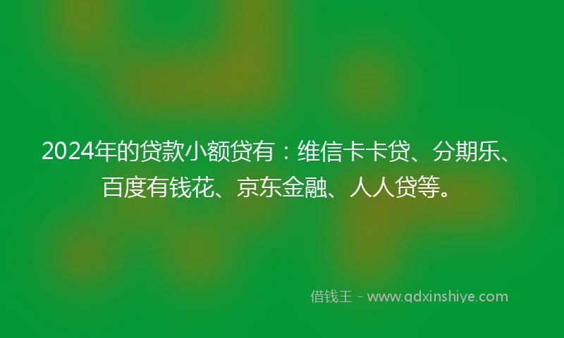 2024年的贷款小额贷有：维信卡卡贷、分期乐、百度有钱花、京东金融、人人贷等。