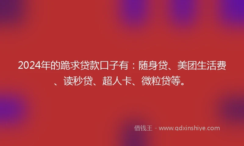 2024年的跪求贷款口子有：随身贷、美团生活费、读秒贷、超人卡、微粒贷等。