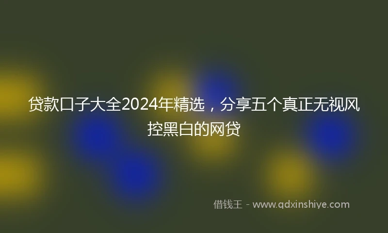 贷款口子大全2024年精选，分享五个真正无视风控黑白的网贷