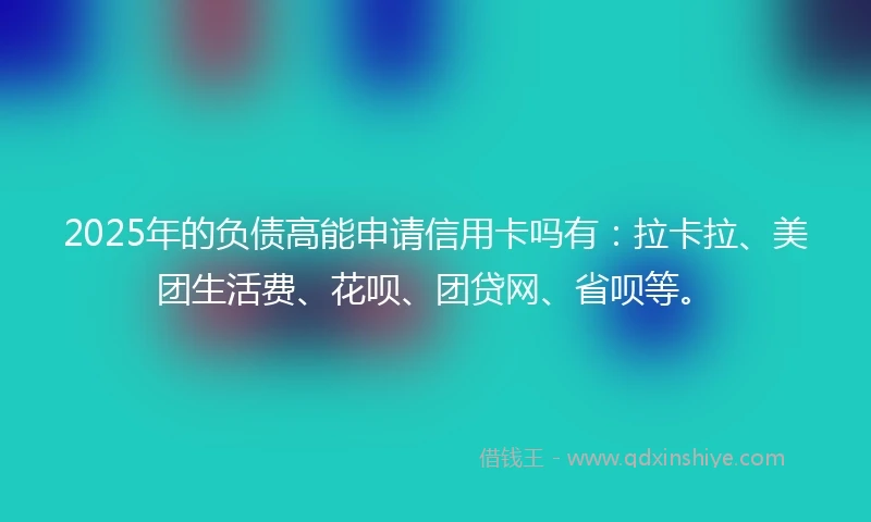 2025年的负债高能申请信用卡吗有：拉卡拉、美团生活费、花呗、团贷网、省呗等。