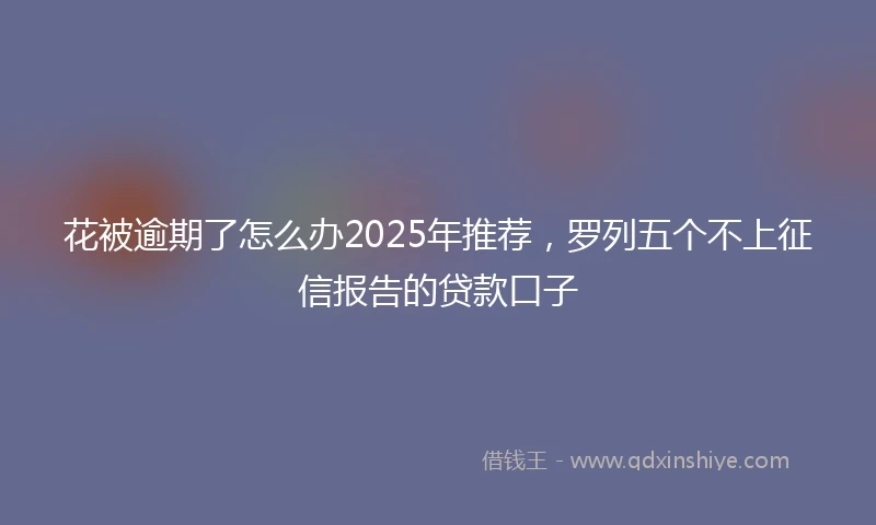 花被逾期了怎么办2025年推荐，罗列五个不上征信报告的贷款口子