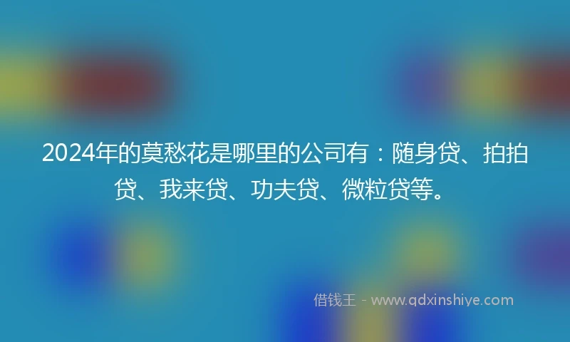 2024年的莫愁花是哪里的公司有：随身贷、拍拍贷、我来贷、功夫贷、微粒贷等。
