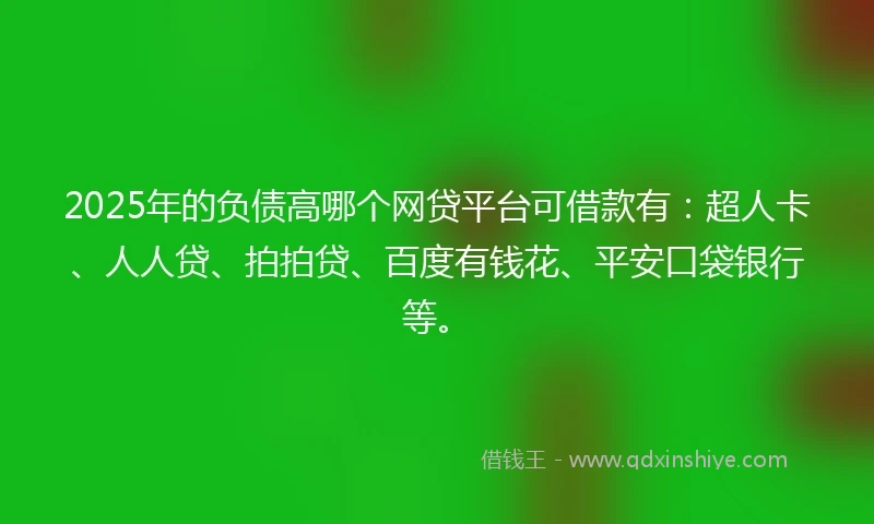 2025年的负债高哪个网贷平台可借款有：超人卡、人人贷、拍拍贷、百度有钱花、平安口袋银行等。