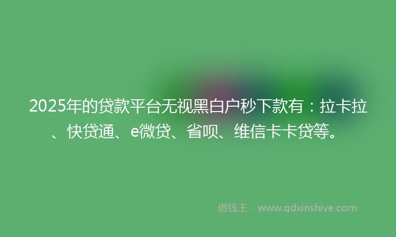 2025年的贷款平台无视黑白户秒下款有：拉卡拉、快贷通、e微贷、省呗、维信卡卡贷等。