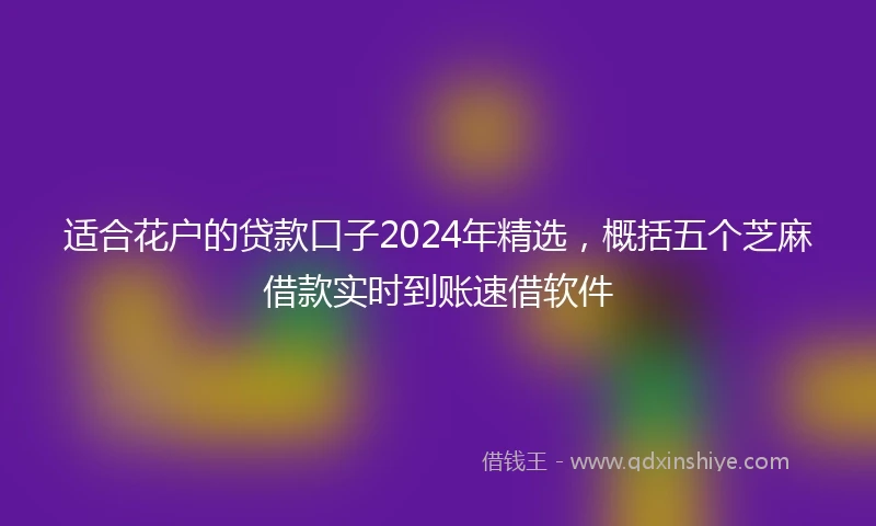 适合花户的贷款口子2024年精选，概括五个芝麻借款实时到账速借软件