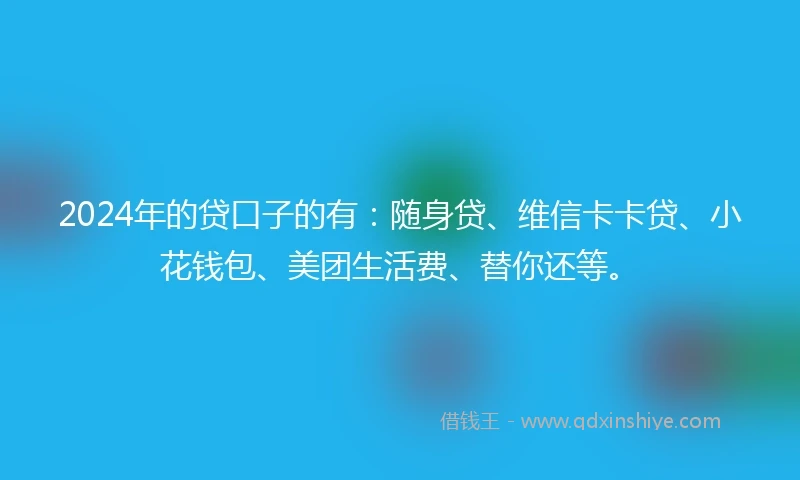 2024年的贷口子的有：随身贷、维信卡卡贷、小花钱包、美团生活费、替你还等。