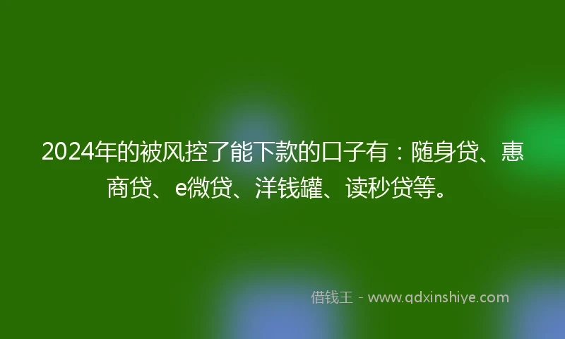 2024年的被风控了能下款的口子有：随身贷、惠商贷、e微贷、洋钱罐、读秒贷等。