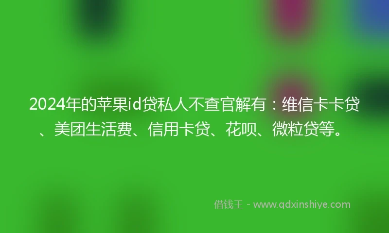 2024年的苹果id贷私人不查官解有：维信卡卡贷、美团生活费、信用卡贷、花呗、微粒贷等。