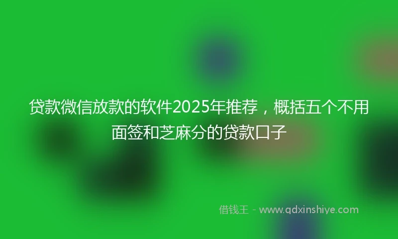 贷款微信放款的软件2025年推荐,概括五个不用面签和芝麻分的贷款口子