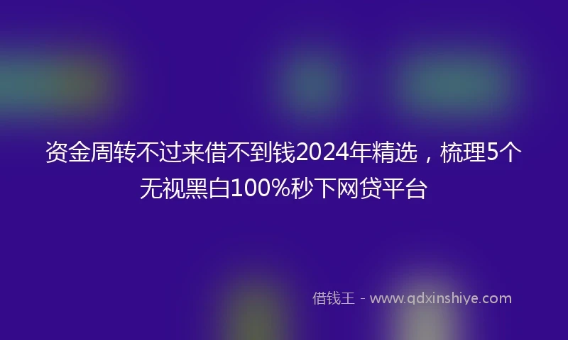 资金周转不过来借不到钱2024年精选，梳理5个无视黑白100%秒下网贷平台