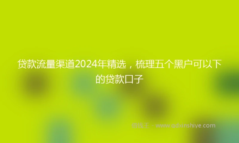 贷款流量渠道2024年精选,梳理五个黑户可以下的贷款口子