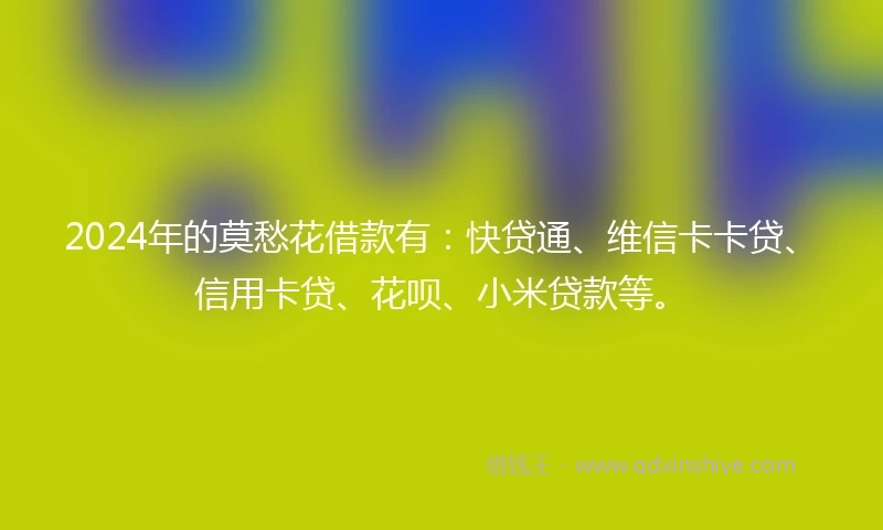 2024年的莫愁花借款有：快贷通、维信卡卡贷、信用卡贷、花呗、小米贷款等。