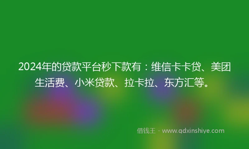 2024年的贷款平台秒下款有：维信卡卡贷、美团生活费、小米贷款、拉卡拉、东方汇等。