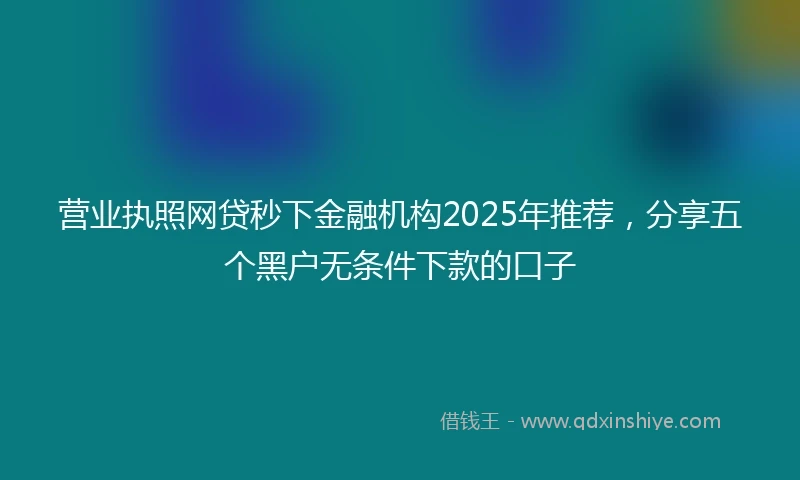 营业执照网贷秒下金融机构2025年推荐，分享五个黑户无条件下款的口子