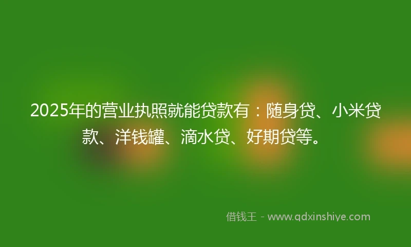 2025年的营业执照就能贷款有：随身贷、小米贷款、洋钱罐、滴水贷、好期贷等。