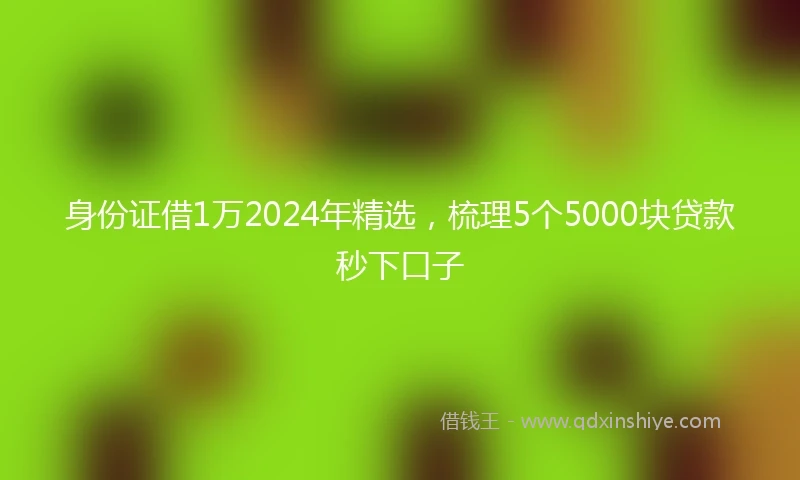 身份证借1万2024年精选，梳理5个5000块贷款秒下口子