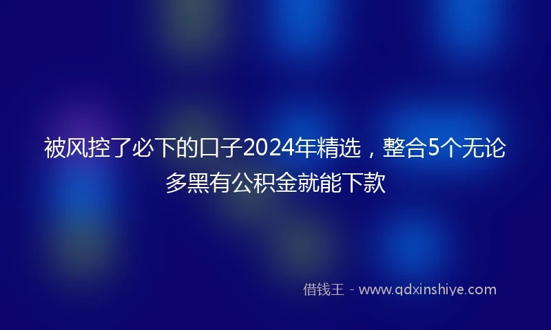 被风控了必下的口子2024年精选，整合5个无论多黑有公积金就能下款