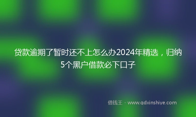 贷款逾期了暂时还不上怎么办2024年精选,归纳5个黑户借款必下口子
