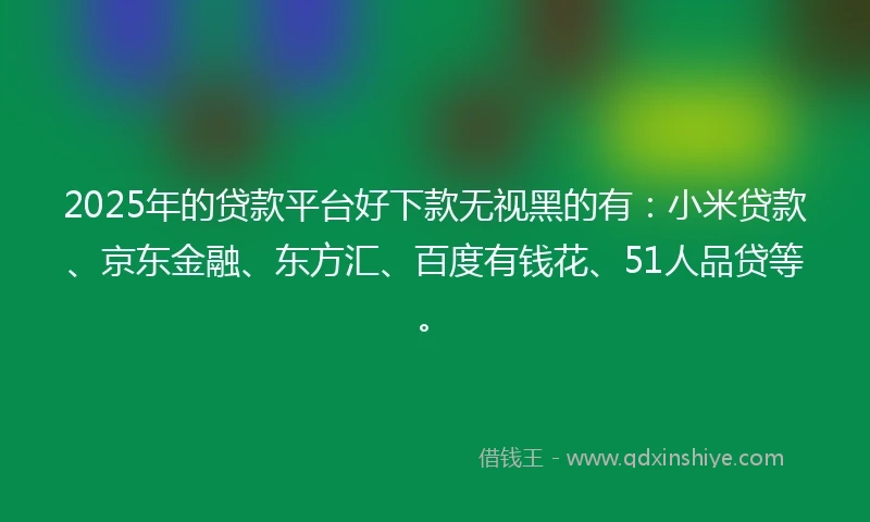 2025年的贷款平台好下款无视黑的有：小米贷款、京东金融、东方汇、百度有钱花、51人品贷等。