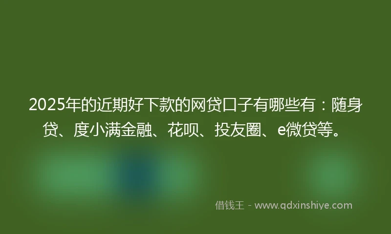 2025年的近期好下款的网贷口子有哪些有：随身贷、度小满金融、花呗、投友圈、e微贷等。
