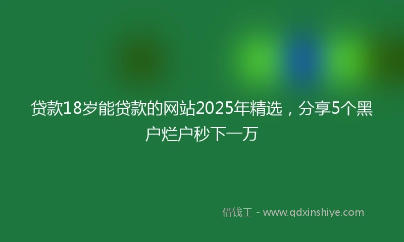 贷款18岁能贷款的网站2025年精选，分享5个黑户烂户秒下一万