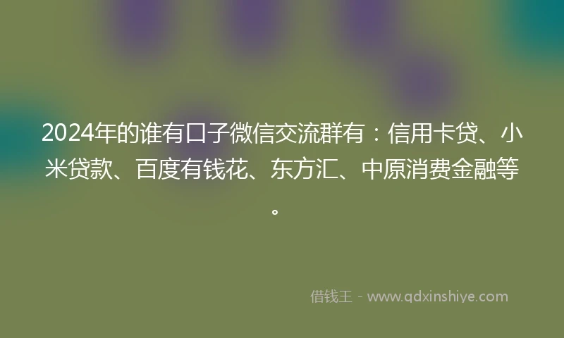 2024年的谁有口子微信交流群有：信用卡贷、小米贷款、百度有钱花、东方汇、中原消费金融等。