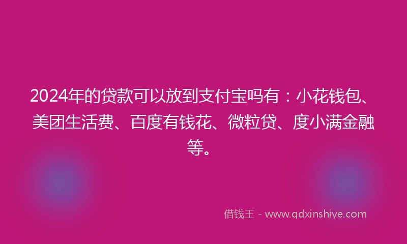 2024年的贷款可以放到支付宝吗有：小花钱包、美团生活费、百度有钱花、微粒贷、度小满金融等。