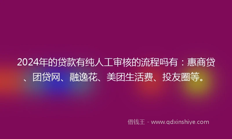 2024年的贷款有纯人工审核的流程吗有：惠商贷、团贷网、融逸花、美团生活费、投友圈等。