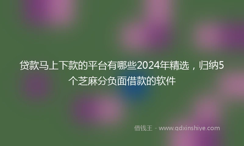 贷款马上下款的平台有哪些2024年精选，归纳5个芝麻分负面借款的软件