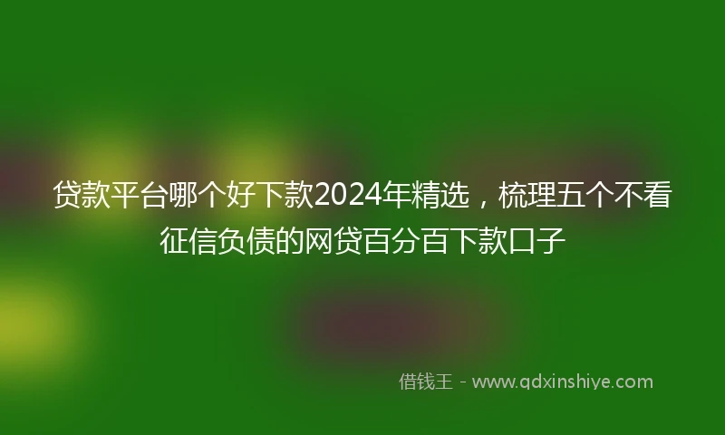 贷款平台哪个好下款2024年精选，梳理五个不看征信负债的网贷百分百下款口子