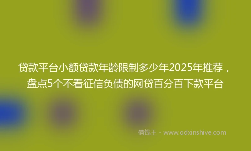 贷款平台小额贷款年龄限制多少年2025年推荐，盘点5个不看征信负债的网贷百分百下款平台