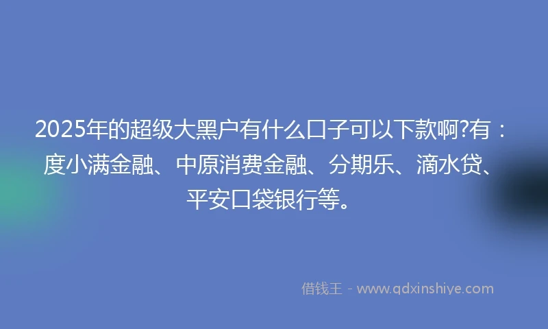 2025年的超级大黑户有什么口子可以下款啊?有：度小满金融、中原消费金融、分期乐、滴水贷、平安口袋银行等。
