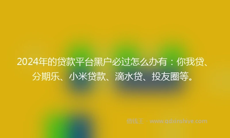 2024年的贷款平台黑户必过怎么办有：你我贷、分期乐、小米贷款、滴水贷、投友圈等。
