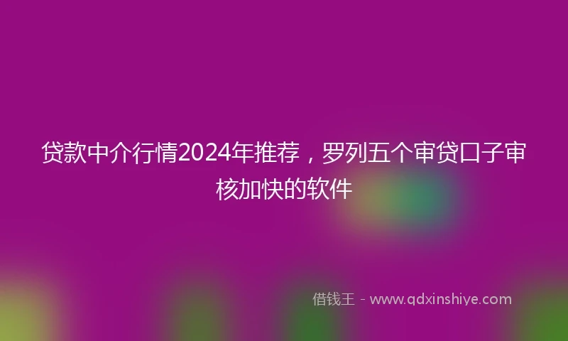 贷款中介行情2024年推荐，罗列五个审贷口子审核加快的软件