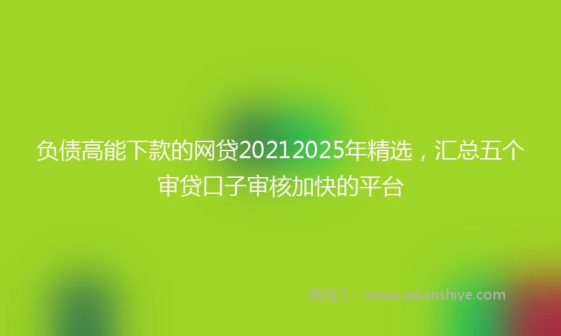 负债高能下款的网贷20212025年精选，汇总五个审贷口子审核加快的平台