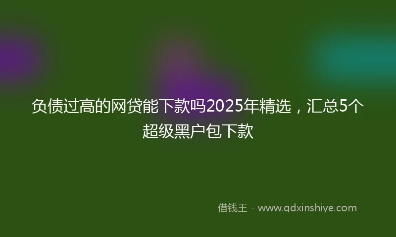 负债过高的网贷能下款吗2025年精选，汇总5个超级黑户包下款