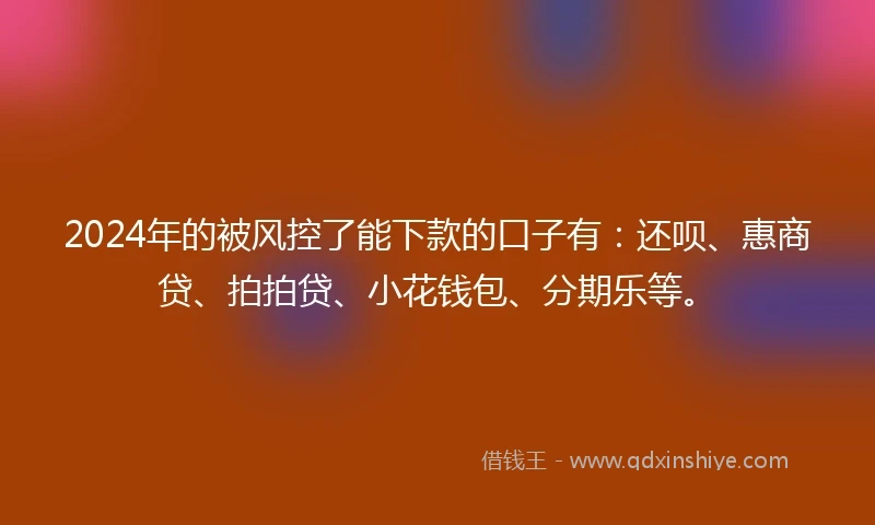 2024年的被风控了能下款的口子有：还呗、惠商贷、拍拍贷、小花钱包、分期乐等。
