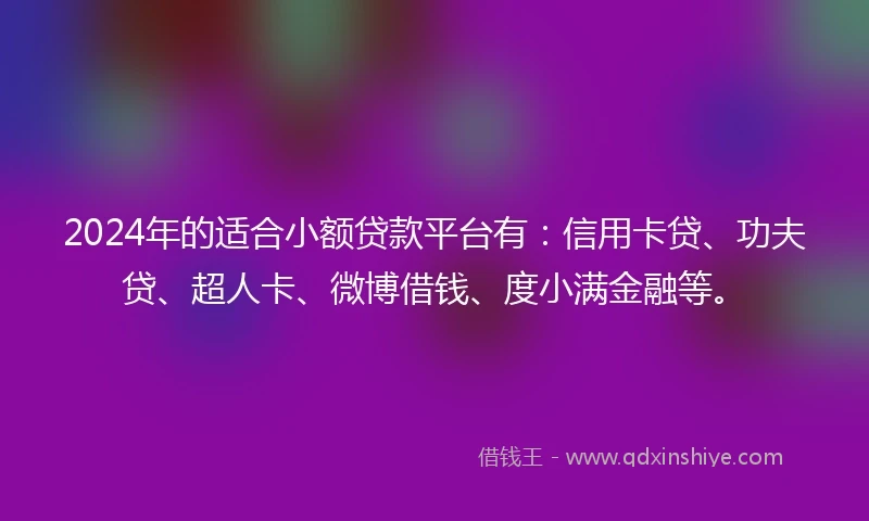 2024年的适合小额贷款平台有：信用卡贷、功夫贷、超人卡、微博借钱、度小满金融等。