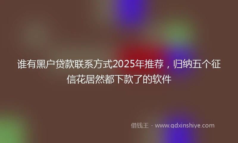 谁有黑户贷款联系方式2025年推荐，归纳五个征信花居然都下款了的软件