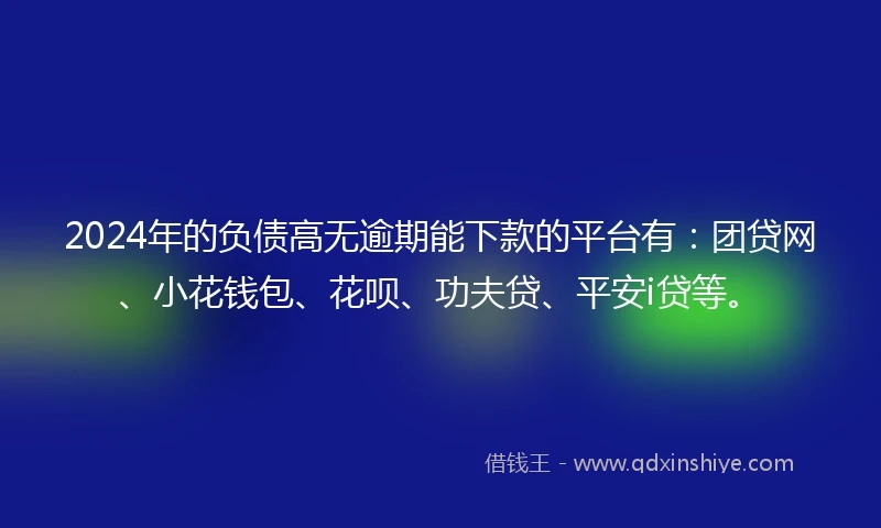 2024年的负债高无逾期能下款的平台有：团贷网、小花钱包、花呗、功夫贷、平安i贷等。