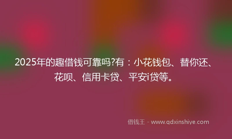 2025年的趣借钱可靠吗?有：小花钱包、替你还、花呗、信用卡贷、平安i贷等。