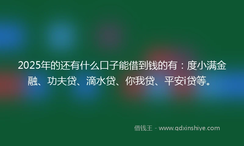 2025年的还有什么口子能借到钱的有：度小满金融、功夫贷、滴水贷、你我贷、平安i贷等。