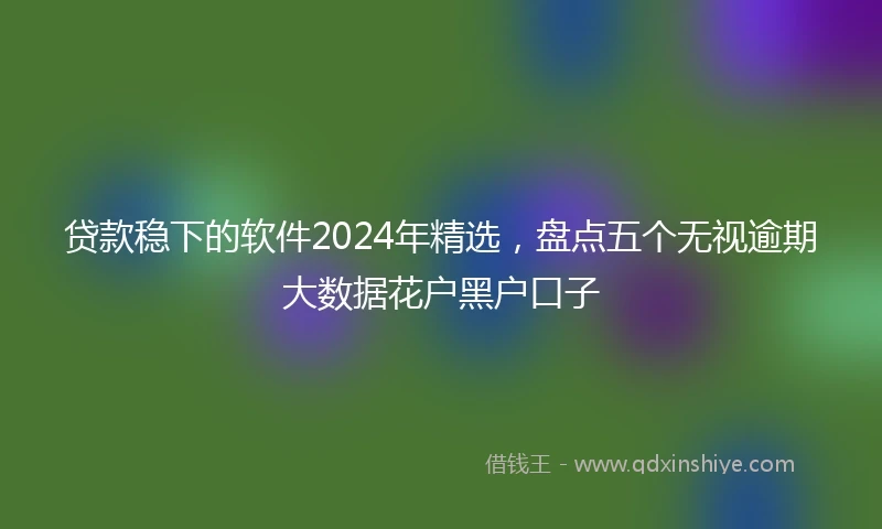贷款稳下的软件2024年精选，盘点五个无视逾期大数据花户黑户口子