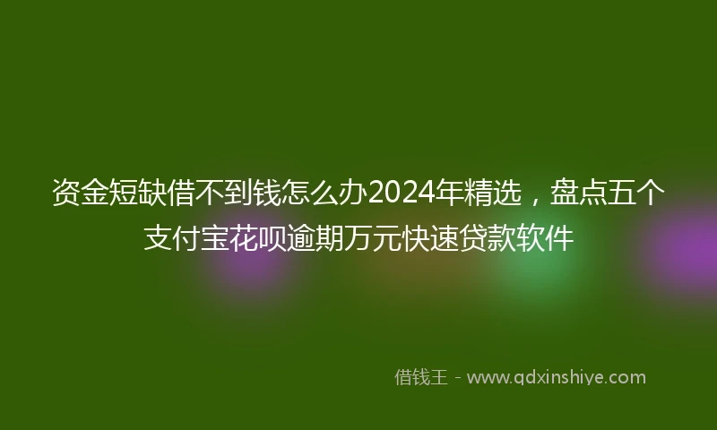 资金短缺借不到钱怎么办2024年精选，盘点五个支付宝花呗逾期万元快速贷款软件