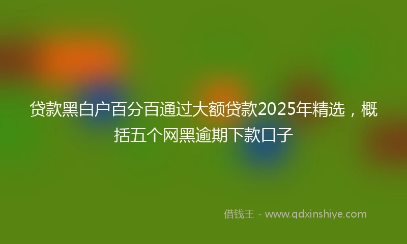贷款黑白户百分百通过大额贷款2025年精选，概括五个网黑逾期下款口子