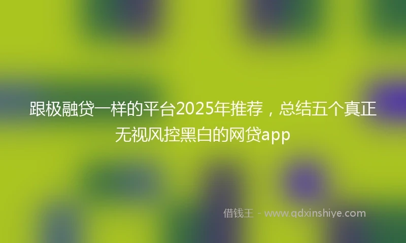 跟极融贷一样的平台2025年推荐，总结五个真正无视风控黑白的网贷app