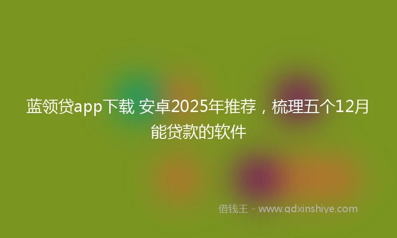 蓝领贷app下载 安卓2025年推荐，梳理五个12月能贷款的软件