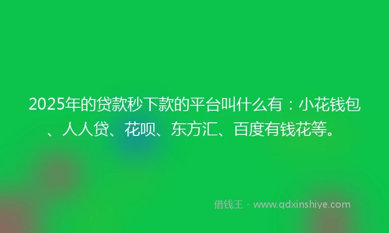 2025年的贷款秒下款的平台叫什么有：小花钱包、人人贷、花呗、东方汇、百度有钱花等。