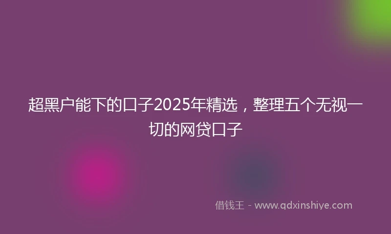 超黑户能下的口子2025年精选,整理五个无视一切的网贷口子