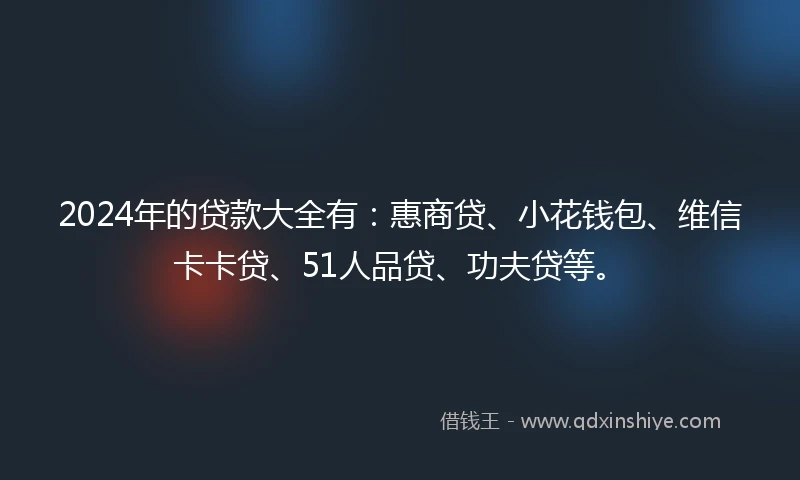 2024年的贷款大全有：惠商贷、小花钱包、维信卡卡贷、51人品贷、功夫贷等。
